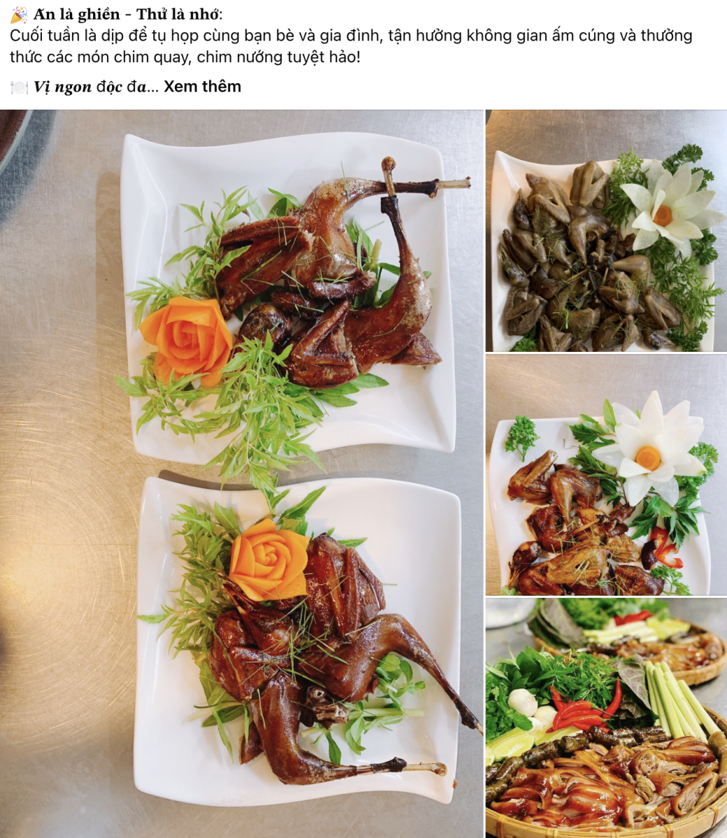 Đặt Tiệc Tân Bình